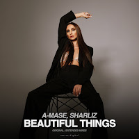 A-Mase - Beautiful Things (Extended Mix) Ft Sharliz загрузить