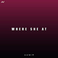 Aamir - Where She At загрузить