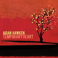 Aidan Hawken - I Never Would загрузить