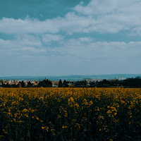 Ak - Life After Death загрузить