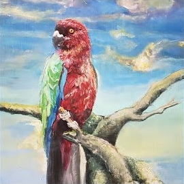 Обложка песни 