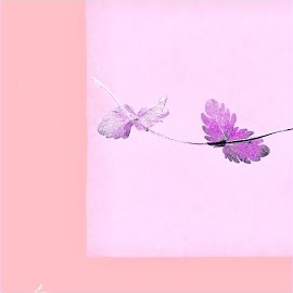 Alina Orlova - Einu загрузить