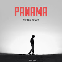 Ameen Fahim - Panama (Tiktok Remix) загрузить
