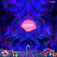 An-Ten-Nae - Something Special загрузить