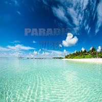 Anas Otman - Blue Dream загрузить