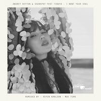 Andrey Keyton - I Want Your Soul (Moe Turk Remix) загрузить