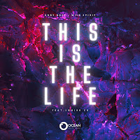 Andy Rozz - This Is The Life (Feat. Louise Cs) Ft Wild Spirit загрузить