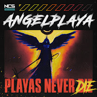 Angelplaya - Playas Never Die загрузить