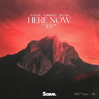 Avi Snow - Here Now - Remix (Feat. Sean Doe) Ft Tamir Regev & Ben Cina загрузить