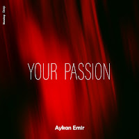 Aykan Emir - Your Passion загрузить