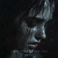 Azulo - Say You Love Me Ft Gewoonraves & Zentryc загрузить