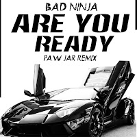 Bad Ninja - Are You Ready (Paw Jar Remix) загрузить