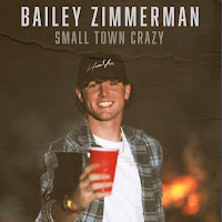 Bailey Zimmerman - Small Town Crazy загрузить