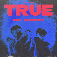 Bakr - True Ft Ulukmanapo загрузить