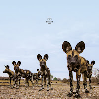 Balthazar - Phone Number загрузить