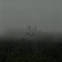 Barnacle Boi - Surrender. загрузить