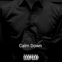 Benedetta Caretta - Calm Down (Cover) загрузить