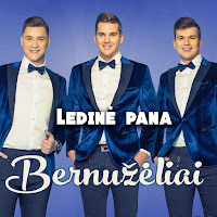Bernužėliai - Ledinė Pana загрузить