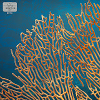 Bonsaye - Wons загрузить