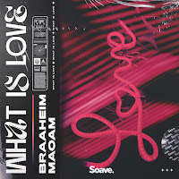 Braaheim - What Is Love Ft Maoam загрузить