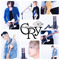 Breakin'holiday - Cry загрузить