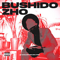Bushido Zho - Bushido Flow (Feat. Ape Muder) загрузить