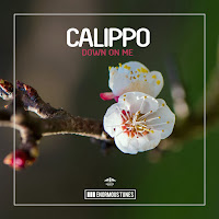 Calippo - Down On Me загрузить