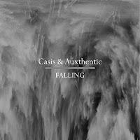 Casis - Falling Ft Auxthentic загрузить