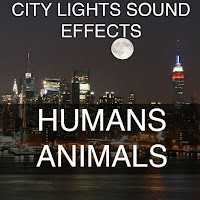 City Lights Sound Effects - Crowd Approval Sports Event Sporting Sound Effects Sound Effect Sounds Efx Sfx Fx Crowd Sounds Crowd Sounds Miscellaneous загрузить