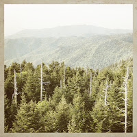 Cody Francis - Feel So Lucky загрузить