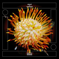 Collé - Atfer загрузить