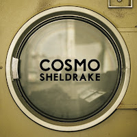Cosmo Sheldrake - The Moss загрузить