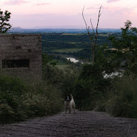 Couples Therapy - Babel загрузить