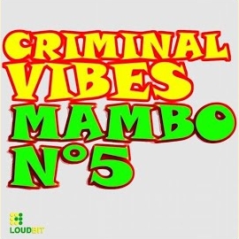 Criminal Vibes - Mambo N°5 (Club Mix) загрузить