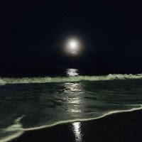 Cupreous - Черное Море загрузить