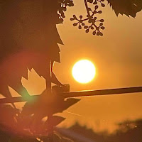 Cupreous - Рай загрузить