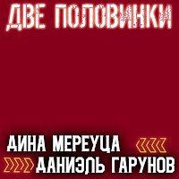 Даниэль Гарунов - Две Половинки Ft Дина Мереуца загрузить