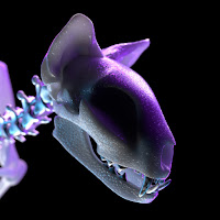 Darci - Twilight загрузить