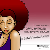 Dave Anthony - I Don't Know Why (Manoo Remix) (Feat. Beverlei Brown) загрузить