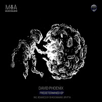 David Phoenix - Neural Partitioning загрузить