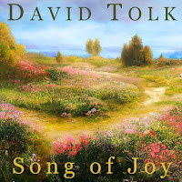 David Tolk - Song Of Joy загрузить