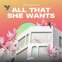 Dazz - All That She Wants (Feat. Raïko) Ft Calvo загрузить