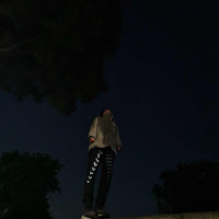 Defalco - The Astronomer And The Starless Sky загрузить