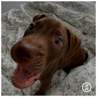 Діти Інженерів - Зло загрузить