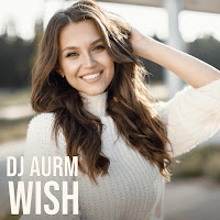 Dj Aurm - Wish загрузить