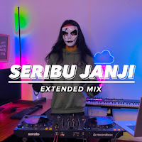 Dj Disco Hunter - Dj Janji Seribu Janji загрузить