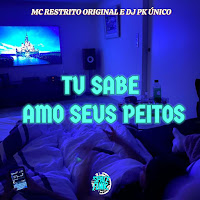 Dj Pk O Único - Tu Sabe Amo Seus Peitos Ft Mc Restrito Original загрузить