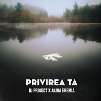 Dj Project - Privirea Ta Ft Alina Eremia загрузить