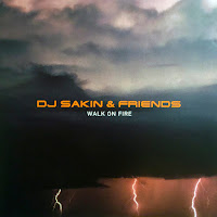 Dj Sakin - Protect Your Mind - Braveheart Ft Dj Sakin & Friends загрузить