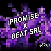 Dj Serial - Promise X Beat Srl загрузить